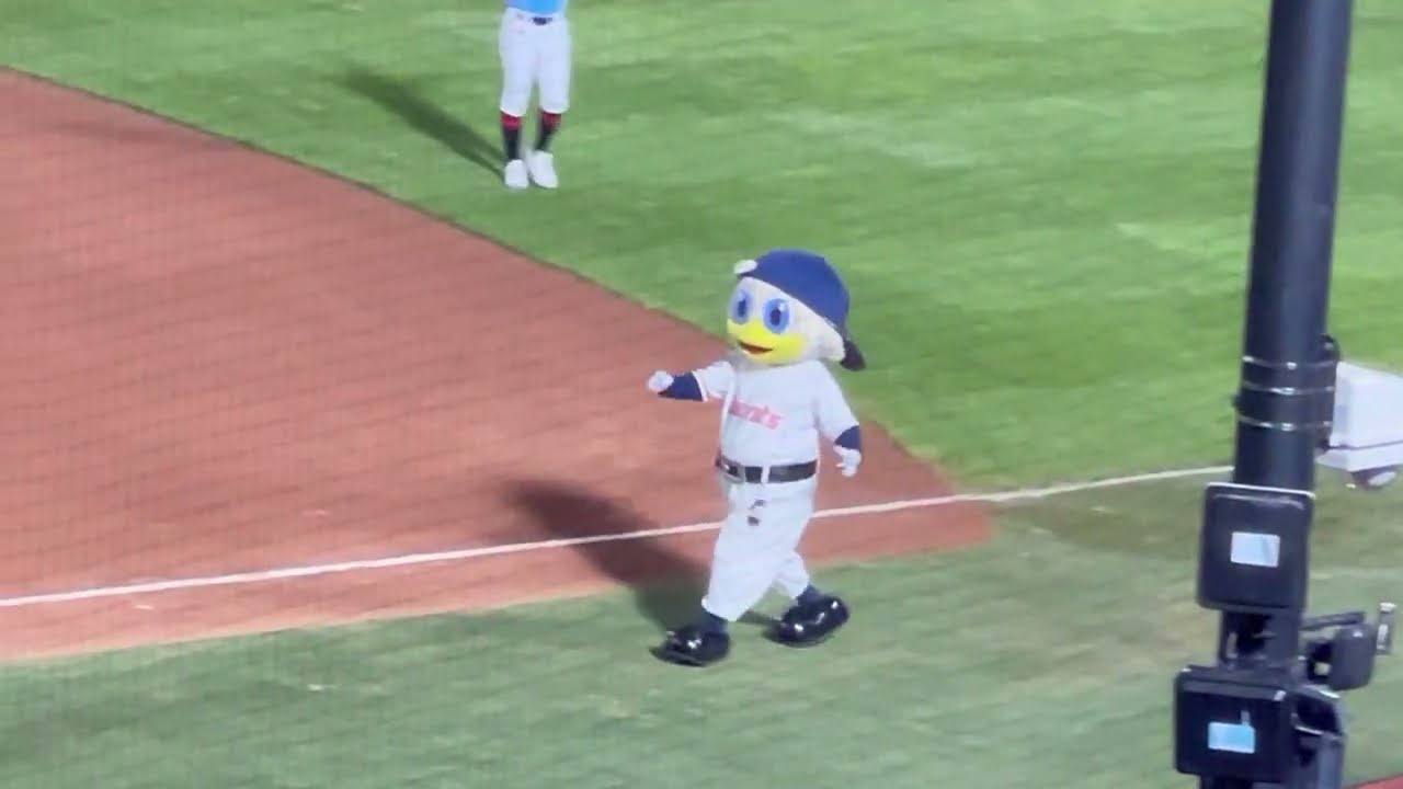 승리한 날에만 볼 수 있다 누리, 사직런  #누리#롯데자이언츠#사직야구장#승리#마스코트#직관#야구직관#승리세리머니#부산#KBO