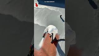 This Fast-Drying Coating Stops Water Damage #waterproof #roofing