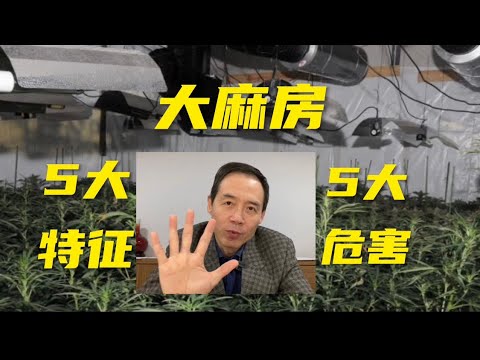 你买的房子种过大麻吗？五大特征教你识别！