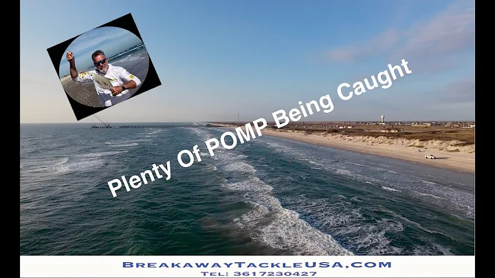 Your Best Damn Surf Fishing Report 12–11-2025