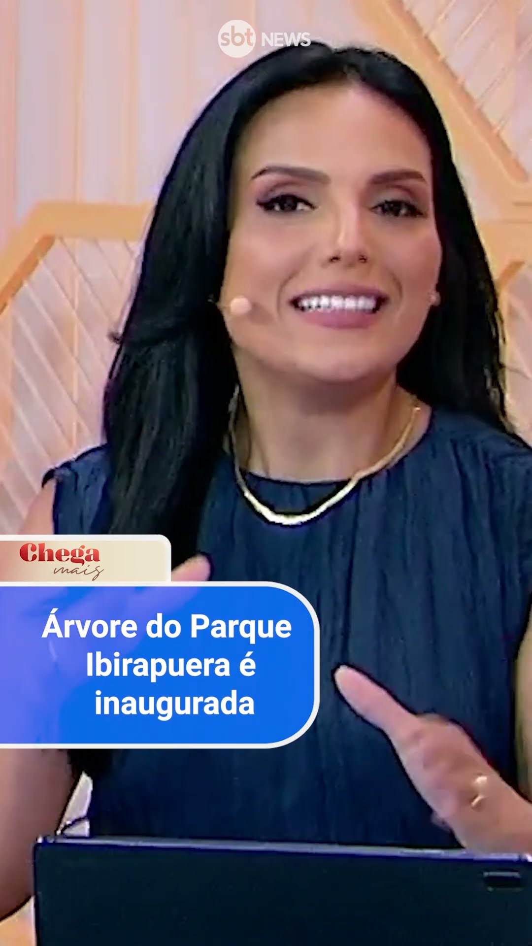 Programação natalina de SP começa com árvore do Ibirapuera