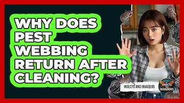 Why Does Pest Webbing Return After Cleaning? - Insects and Invaders