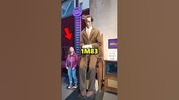 Vì sao người Hà Lan Cao Nhất Thế Giới ?