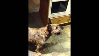 Dylan Playing With Incredibubbles