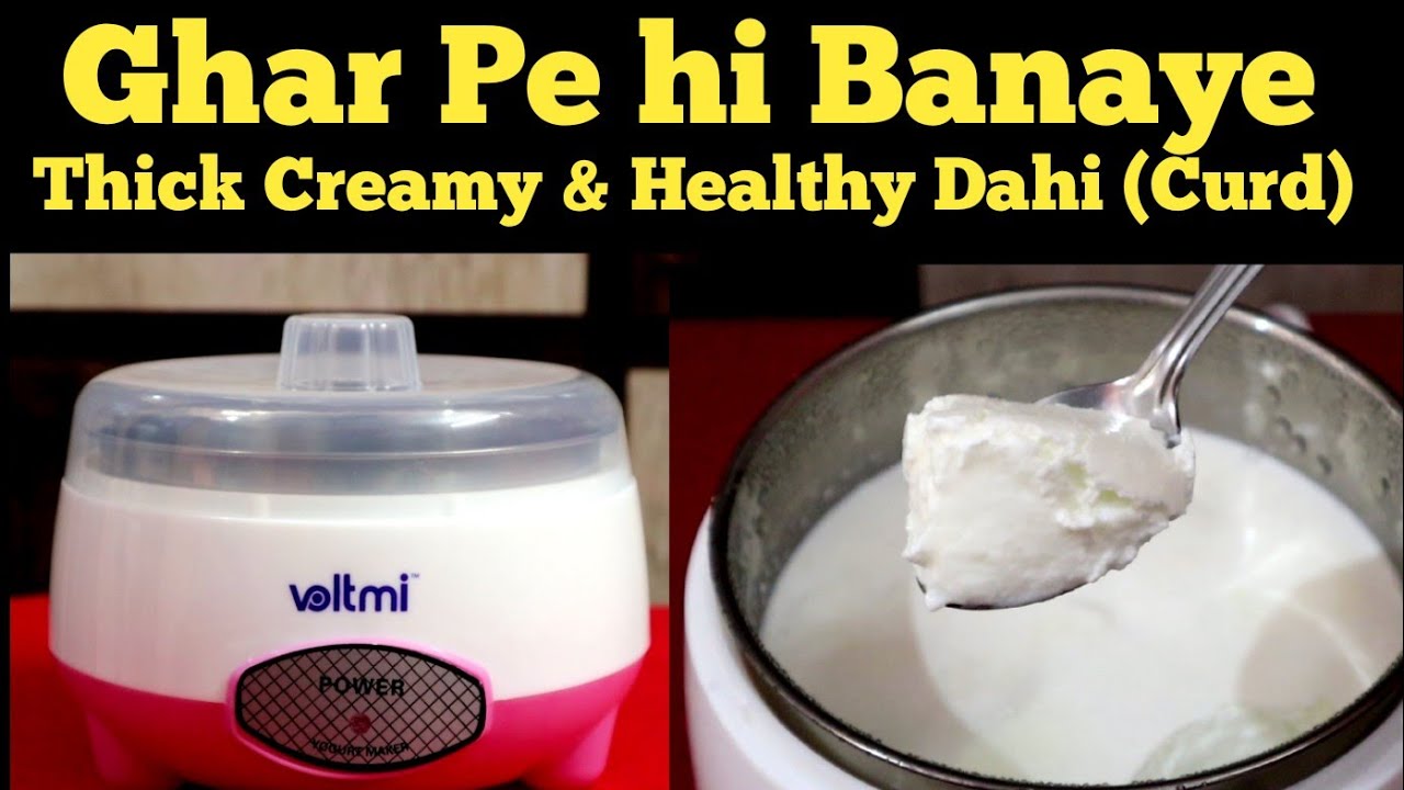 Voltmi Yogurt Maker Review How to make perfect dahi at home Curd
