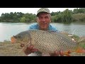 Ловля САЗАНА на спиннинг (сработала оснастка ДЖИГ- РИГ). My fishing