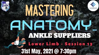 Mastering Anatomy - Lower Limb - Session 13 - Ankle Suppliers