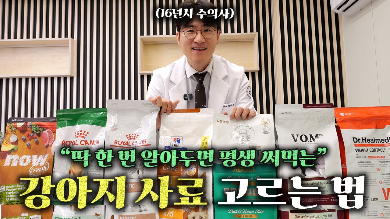 수의사가 알려주는 좋은 사료 고르는 기준