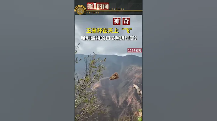 12月24日，云南某地，有人拍摄到玉米秆在天上“飞”，网友笑称：哈利波特的扫帚照进现实。#真实事件#新闻#shorts - 天天要闻