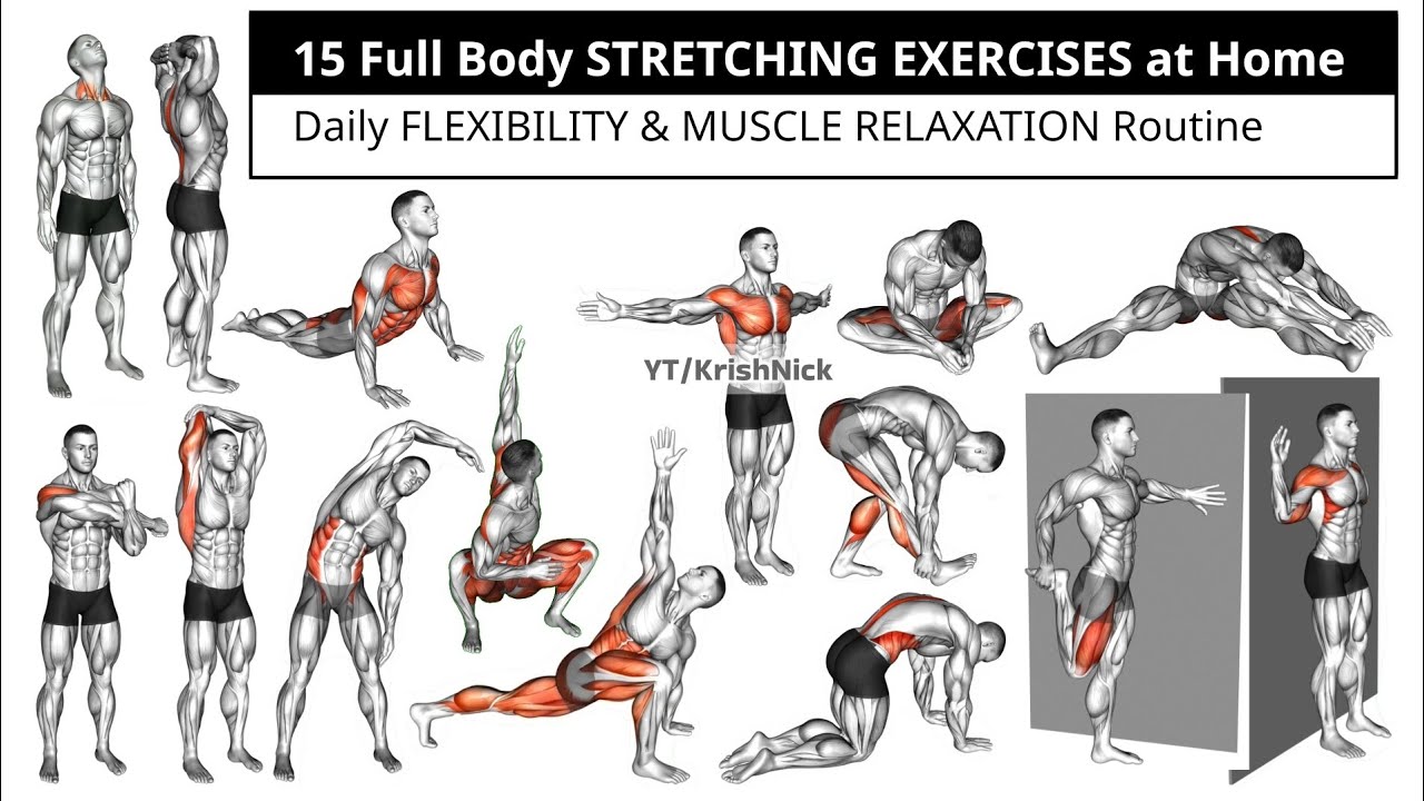 Relax Stretch Routine 15 Full Body STRETCHING EXERCISES at Home | Daily FLEXIBILITY & MUSCLE ...