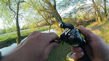 Cosa si pesca nel fiume Serio?
