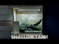 Shallow Tank | Mudah dan Simpel | 30x20x15