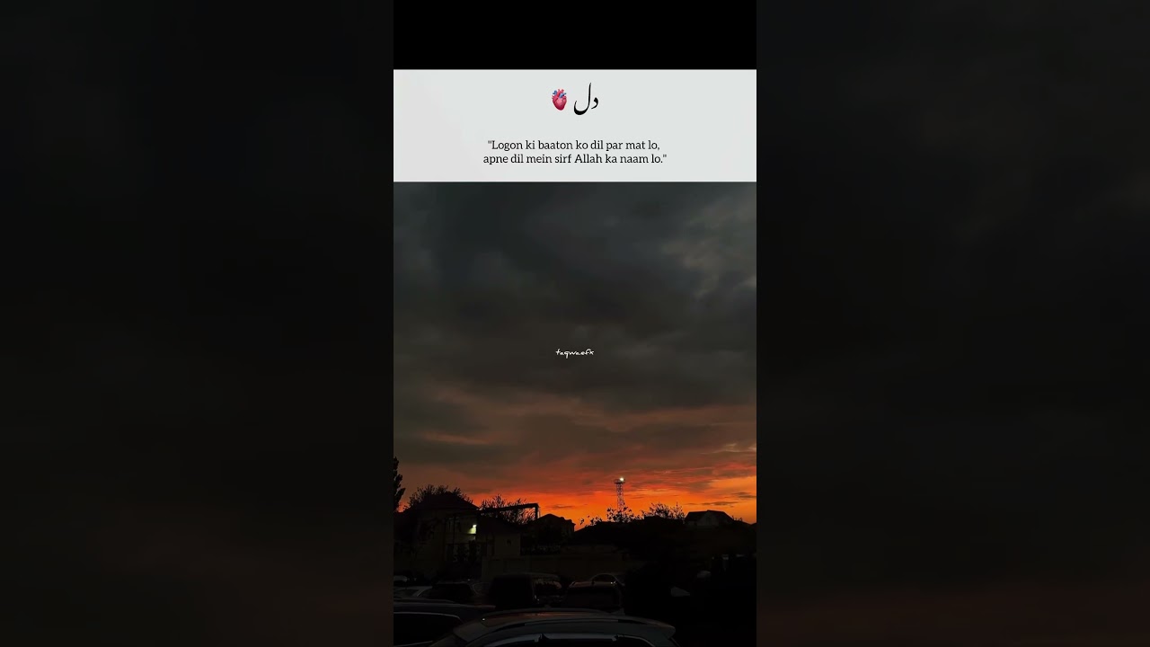 Islamic Videos || Islamic Status || Quran translation 