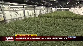 Governor Spanberger Issues Vetoes, Including Marijuana Marketplace and Prescription Drug Affordab...