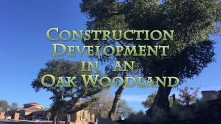 Development in an Oak Woodland