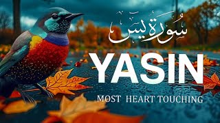 Download Lagu 📖 Surah Yaseen Full with Urdu Translation | Beautiful Quran Tilawat | Surah Yasin Recitation HD MP3 Download Lagu 📖 Surah Yaseen Full with Urdu Translation | Beautiful Quran Tilawat | Surah Yasin Recitation HD MP3