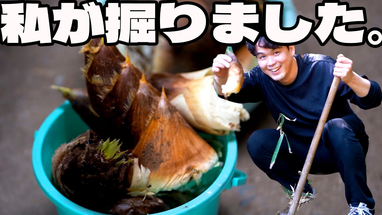 春の山は、宝の山だった。