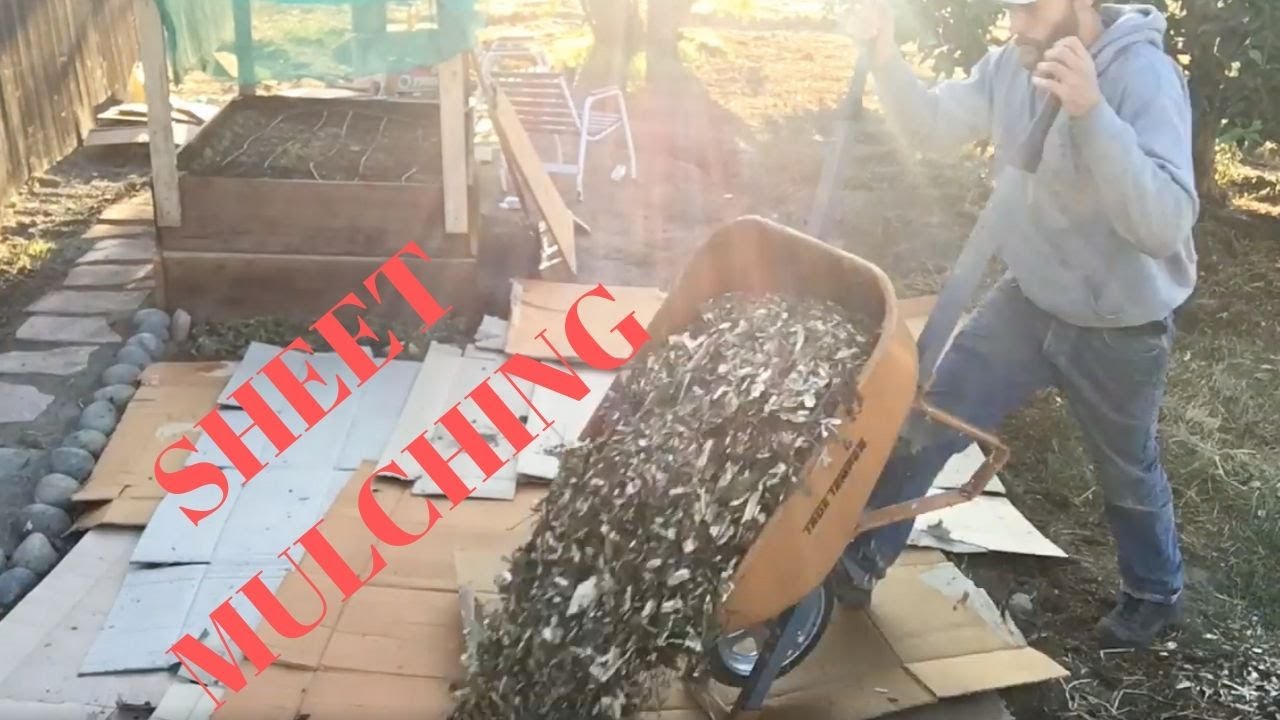 Sheet Mulching in Fall for Spring Planting YouTube