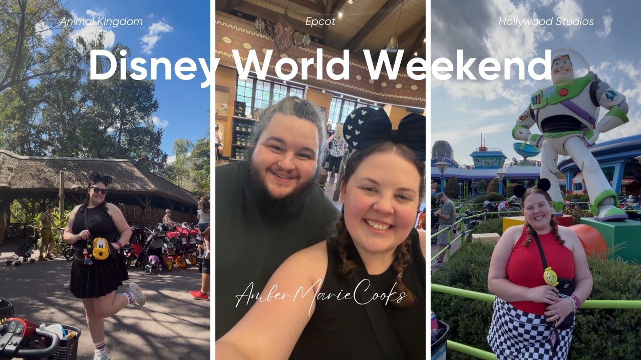 Disney World Weekend! - Port Orleans French Quarter - Animal Kingdom - Epcot - Hollywood Studios