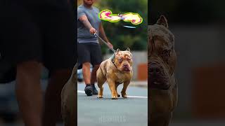 Before VS After Animal Transformation🤯 Part 25 - Amazing Animals Transformation