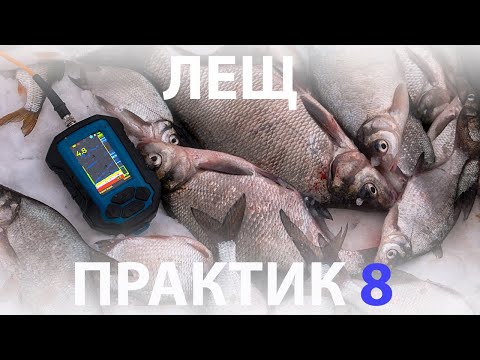 Кормим леща с Практик 8