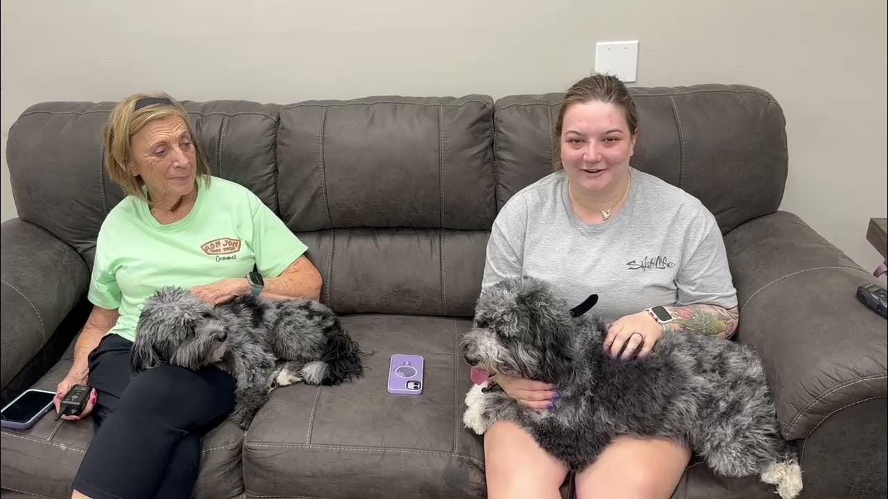 dog-training-colorado-springs-tip-top-k9-reviews-one-youtube
