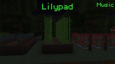 Lilypad | Music Video