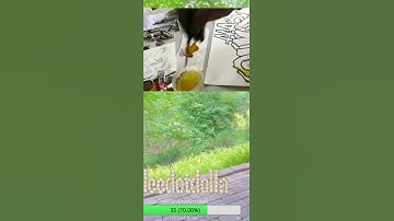 i am a color expert!!!!! | #deedotdolla on #Twitch