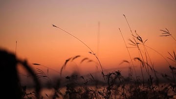 اواخر سوره الاسراء " ويخرون للاذقان يبكون " 😭 I عصام هشام I - تلاوه هادئه - ارح سمعك 🎧