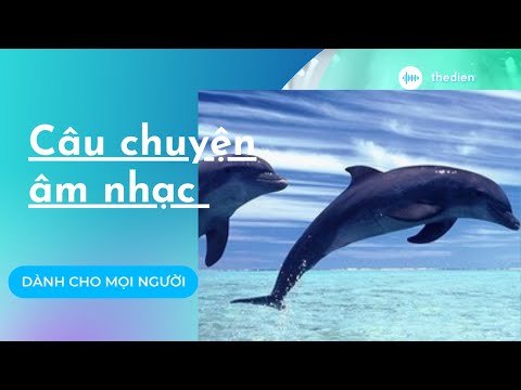 Video: Trò chơi cá heo của Câu chuyện cá heo 2