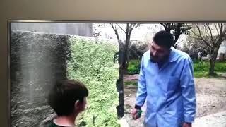 Yeşilini ver