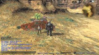 Botter Caught in the Act! - FFXIV