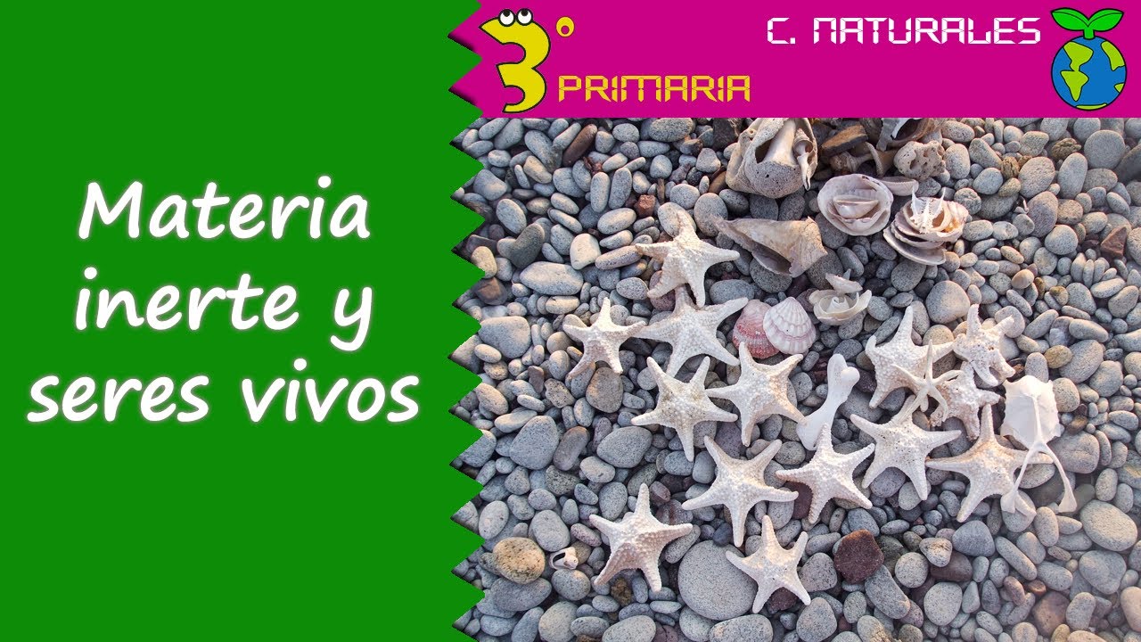 Ciencias De La Naturaleza 3º Primaria Tema 1 Materia Inerte Y Seres