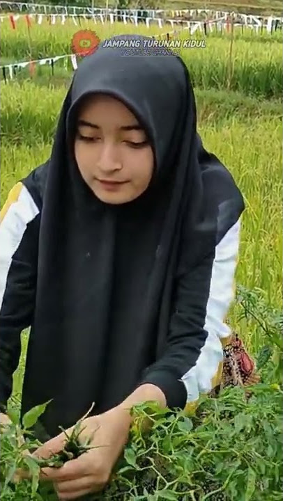 Gadis Desa Keturunan Turki, Ngeliwet Di Saung Sawah #Shorts