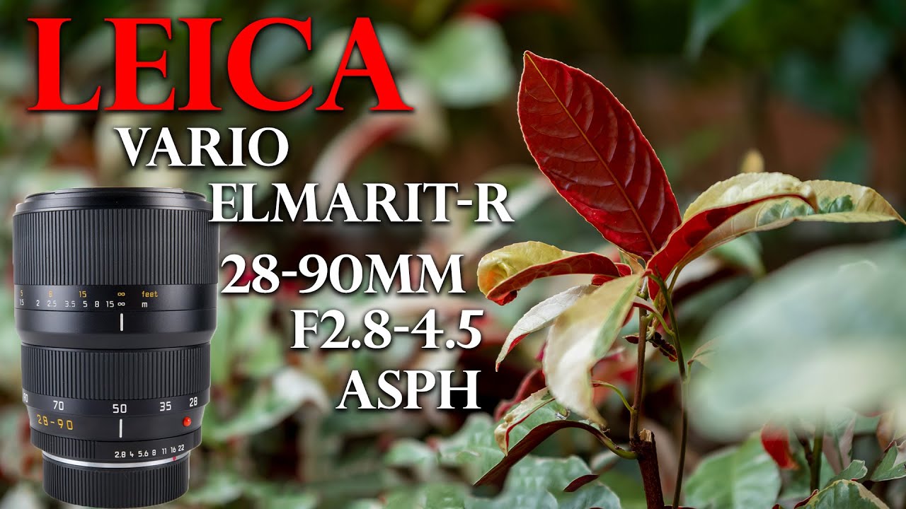 Leica Vario-Elmarit-SL 24-90mm F2.8-4 ASPH. Ficha Técnica | t o d o – f