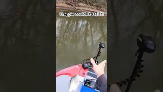 Once I made this change, the crappie were all over my jig! #follow #crappie #shorts