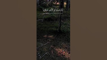 سورة فاطر، من الآية 44، القارئ ياسر الدوسري