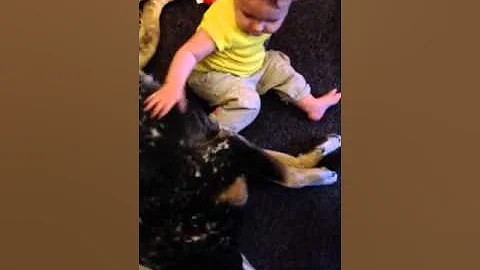 A girl and her puppy