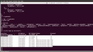 Common Programmable Abstraction Layer  (demo)
