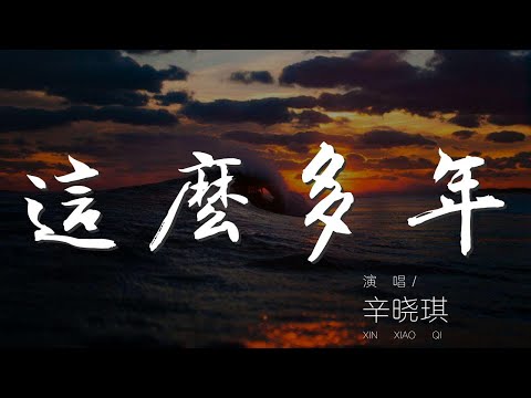 這麼多年 - 辛曉琪『這麼多年我一直努力』【動態歌詞Lyrics】
