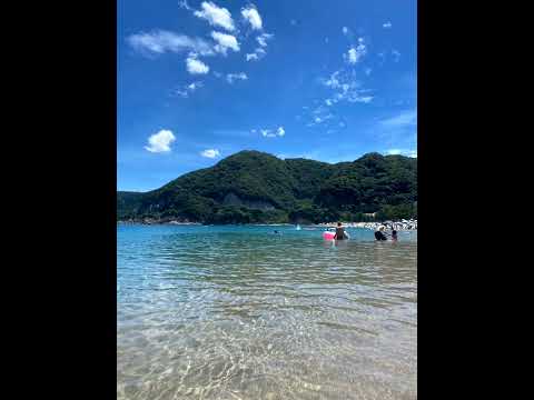 音楽II  ハナミズキ
