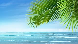 Bright Blue Tropical Beach Stock Motion Graphics