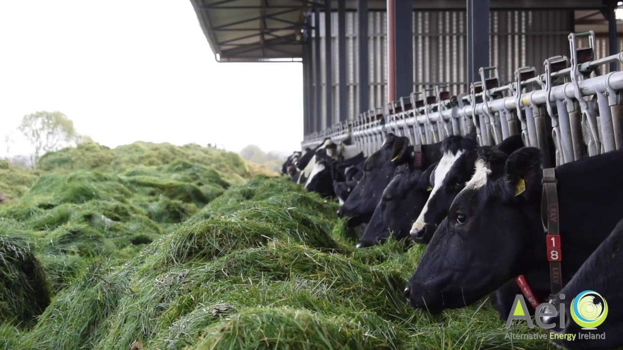 Are Solar Panels a viable option for Irish Farmers?
