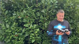 картинка: Хочу чтобы вы верили /1185/ Мария говорит практические вещи