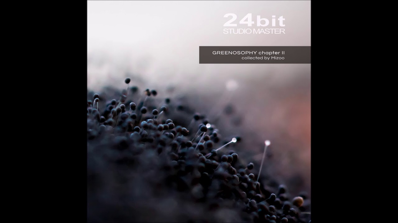 Aes Dana feat. Mizoo - Lolite | Chill Space