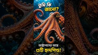 অক্টোপাসের এই রহস্য জানতেন? #octopus #viralshort#animals #animalfacts