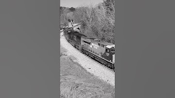 CSX 771, CSX 4586 & CSX 1982 Heritage Unit “Seaboard System” 02/19/24 #csxstrains #railfans #foamer