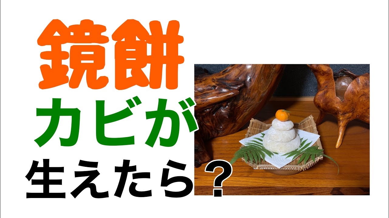 鏡開きカビが生えた餅どうする 240 1000 Youtube 鏡開きカビが生えた餅どうする 240 1000 Youtube