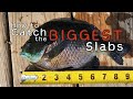 How to catch giant slab panfish fishing campers haven in bad axe