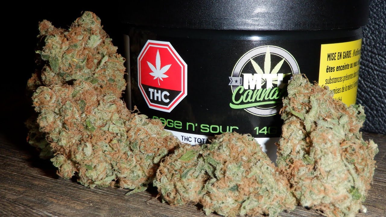 Strain Review Sage n' Sour By MTL Cannabis